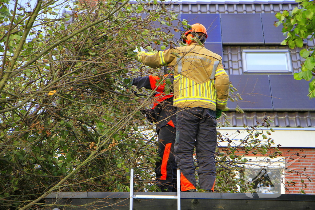 Omtrekken boom gaat verkeerd en valt op pergola