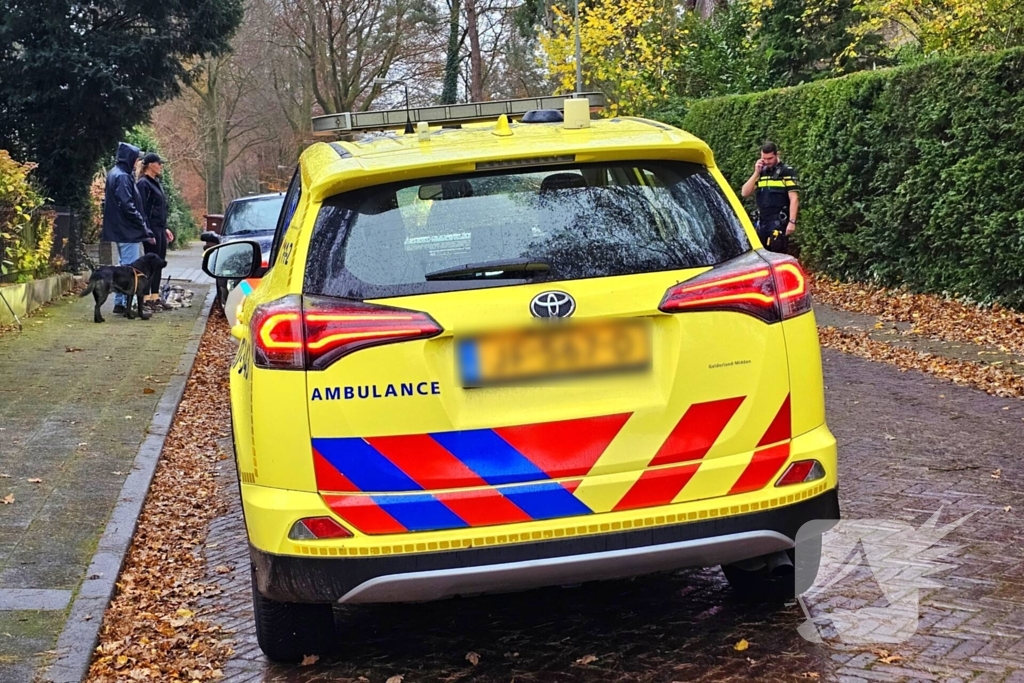 Fietser ten val door overstekende hond