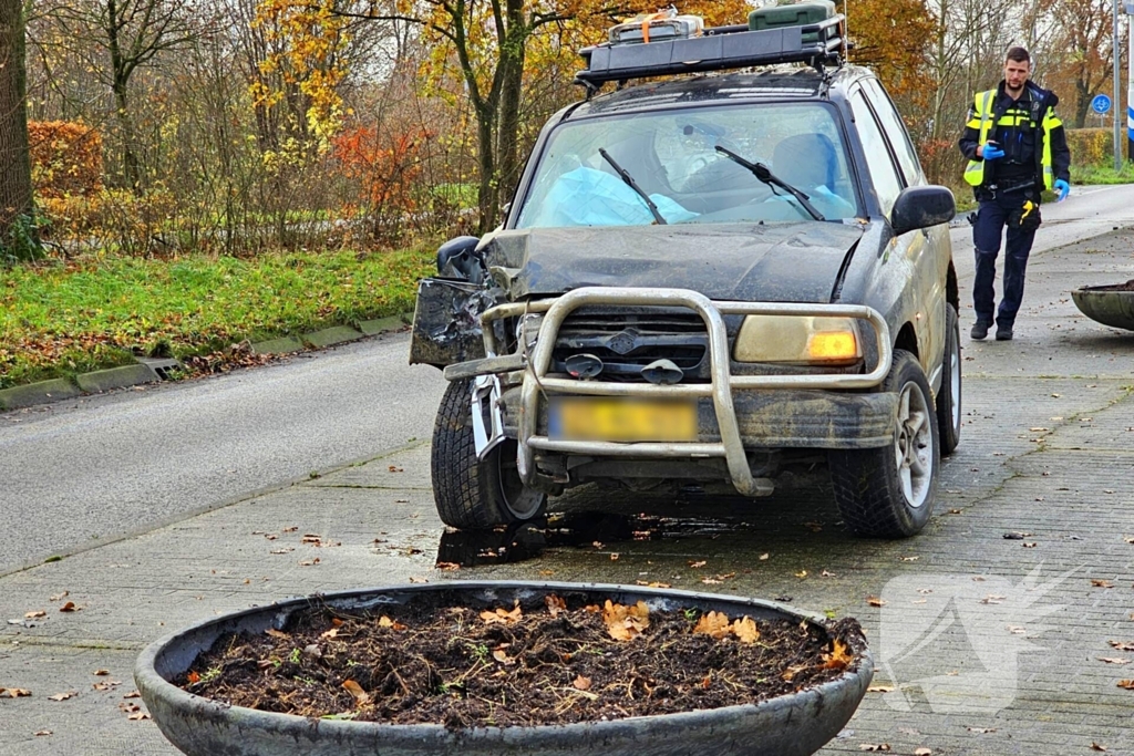 Automobilist knalt tegen boom