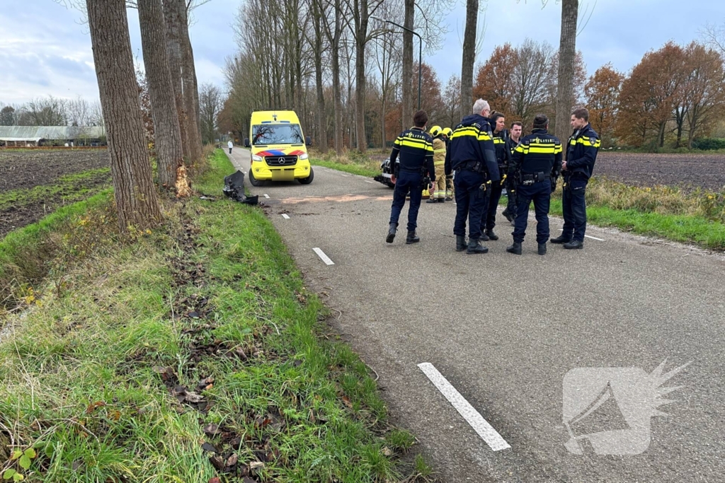 Bestuurder gewond bij botsing tegen boom