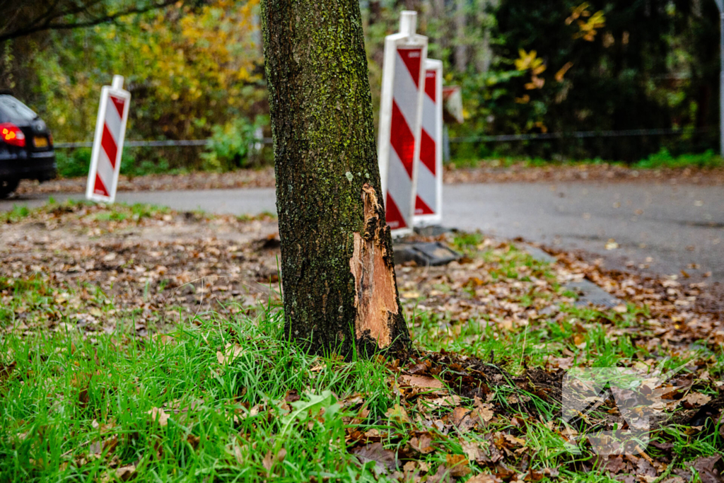 Auto knalt tegen boom, bestuurder raakt gewond