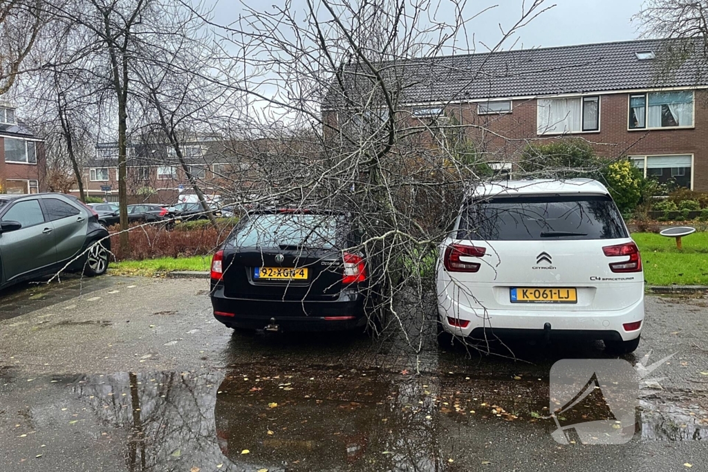 Kleine boom valt op personenauto