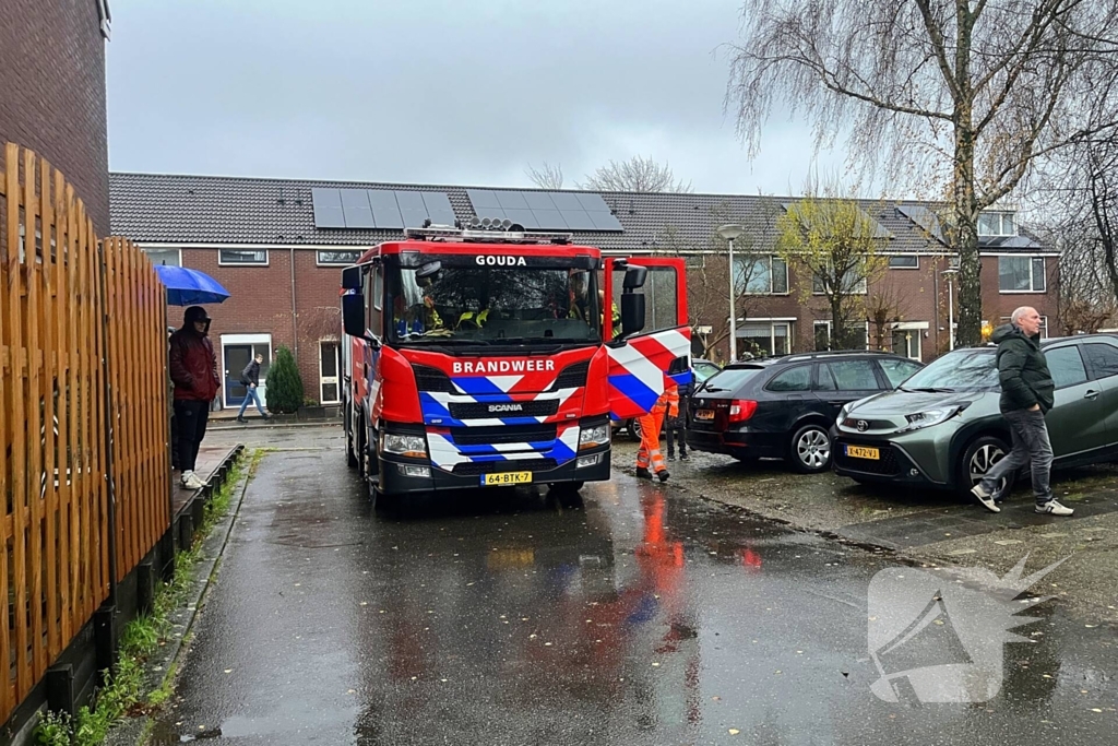 Kleine boom valt op personenauto