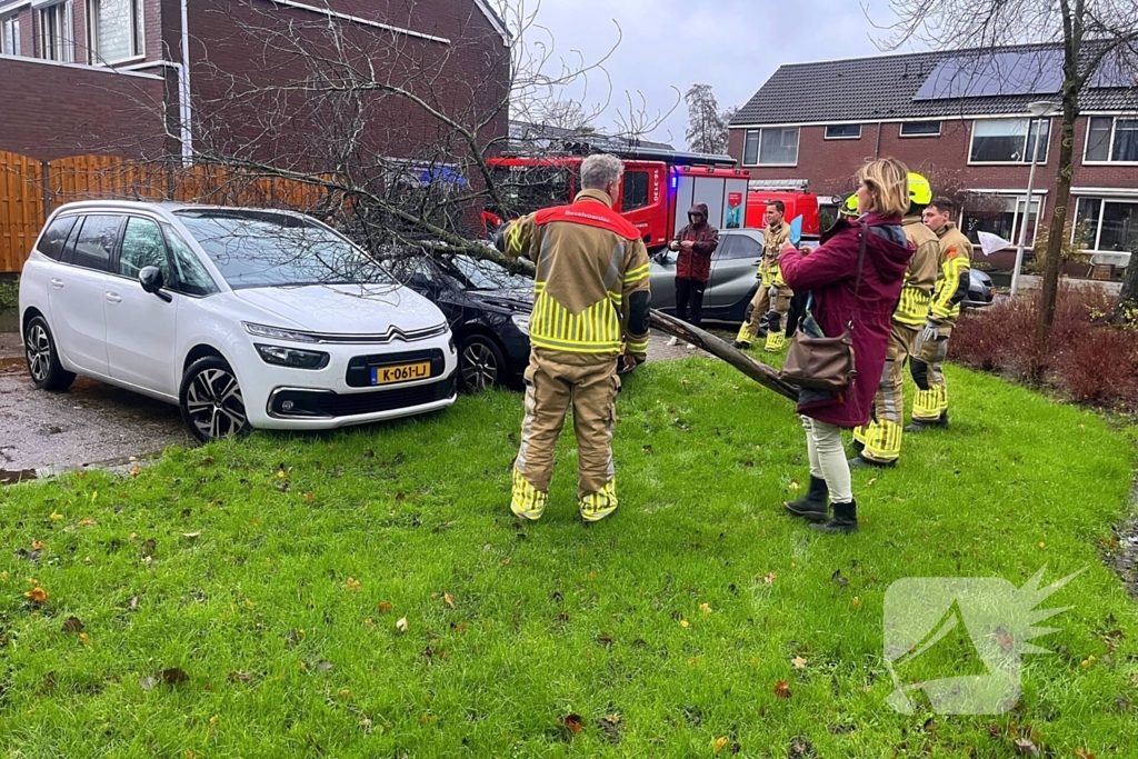 Kleine boom valt op personenauto