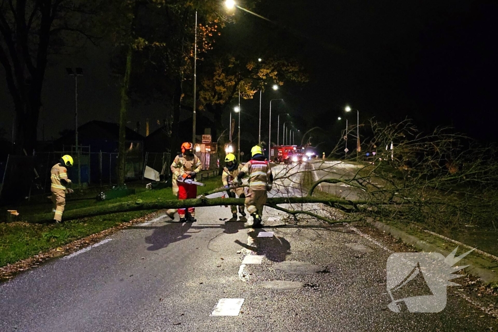 Brandweer zaagt over weg hangende boom om