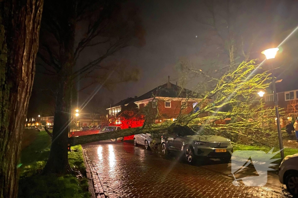 Drie bomen omgewaaid tijdens storm: aanzienlijke schade en afgesloten straat