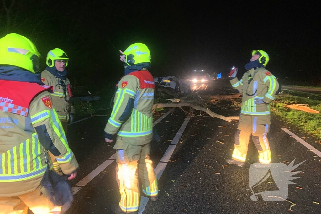 Auto crasht op omgevallen boom tijdens storm