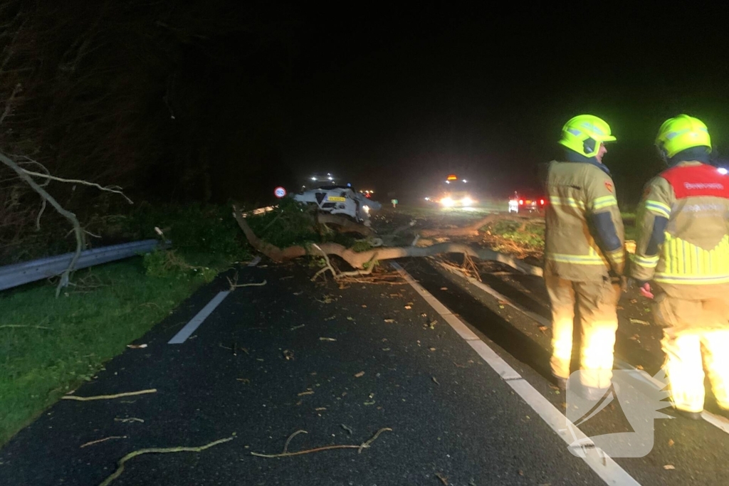 Auto crasht op omgevallen boom tijdens storm