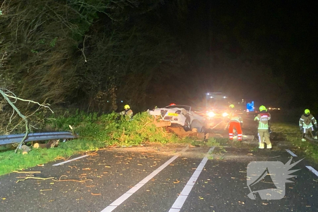 Auto crasht op omgevallen boom tijdens storm