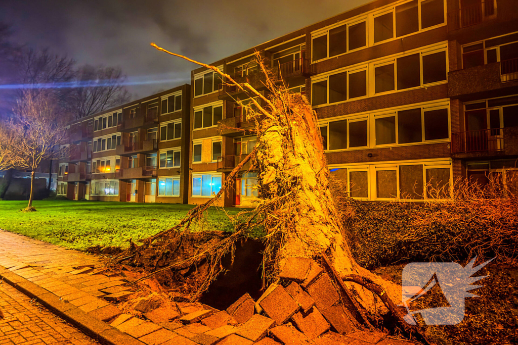 Enorme boom valt om door harde wind