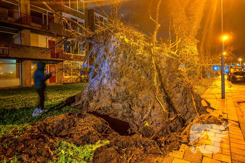 Enorme boom valt om door harde wind