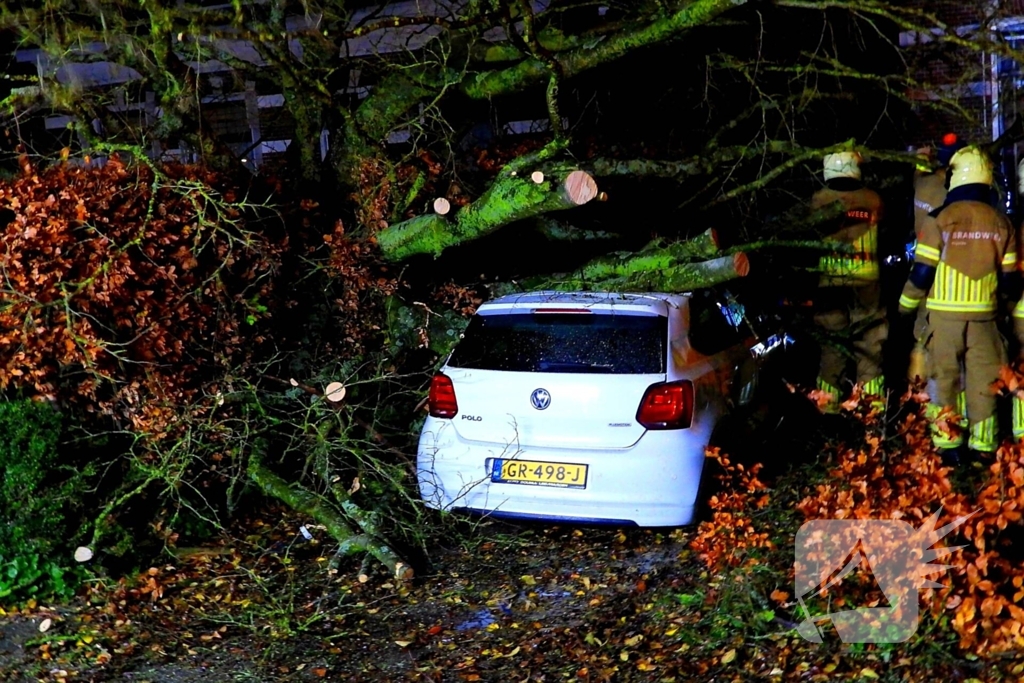 Auto bedolven onder boom, brandweer staakt zaagwerkzaamheden