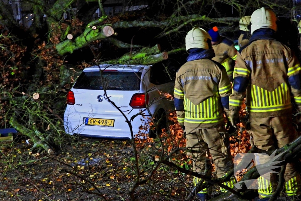 Auto bedolven onder boom, brandweer staakt zaagwerkzaamheden