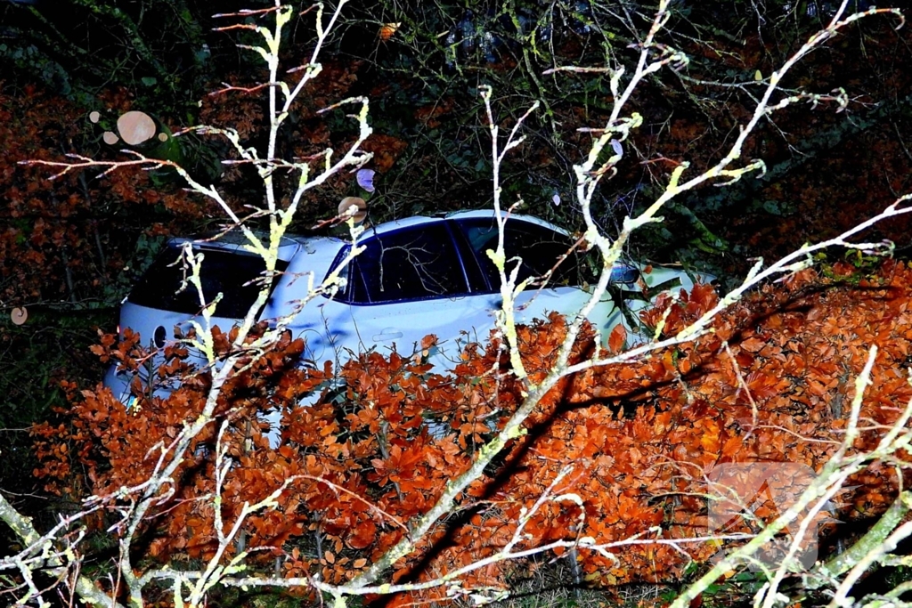 Auto bedolven onder boom, brandweer staakt zaagwerkzaamheden