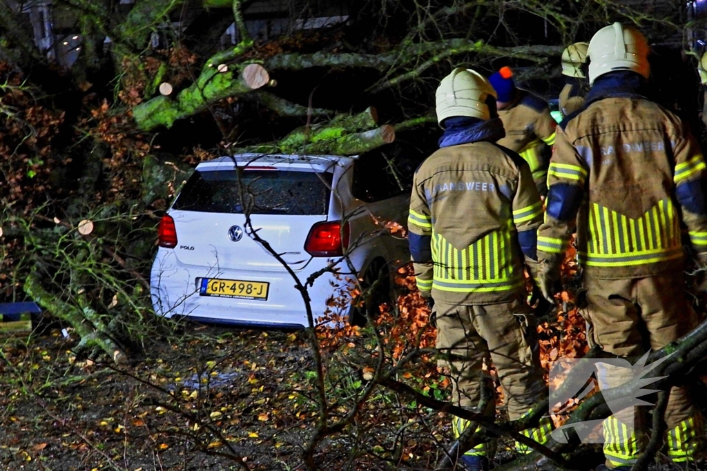 Auto bedolven onder boom, brandweer staakt zaagwerkzaamheden