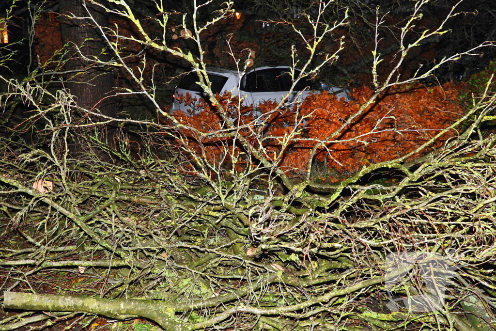 Auto bedolven onder boom, brandweer staakt zaagwerkzaamheden