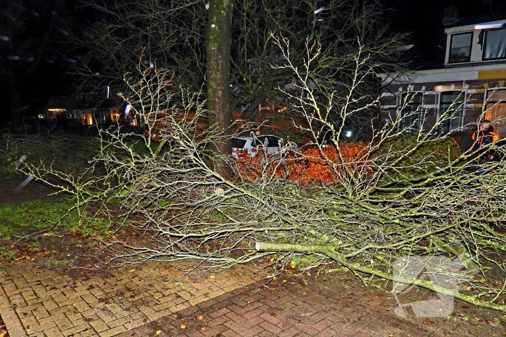 Auto bedolven onder boom, brandweer staakt zaagwerkzaamheden