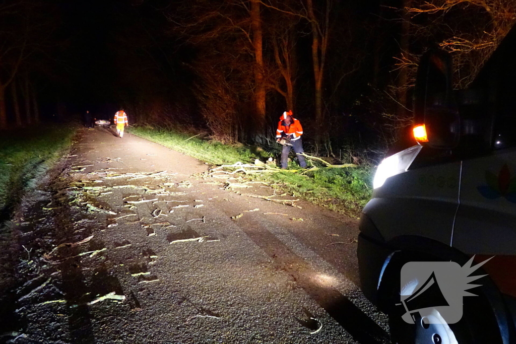 Auto komt vast te zitten tussen omgevallen bomen