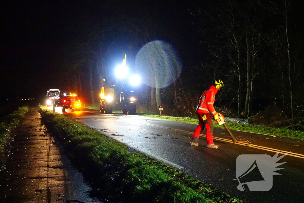 Auto komt vast te zitten tussen omgevallen bomen