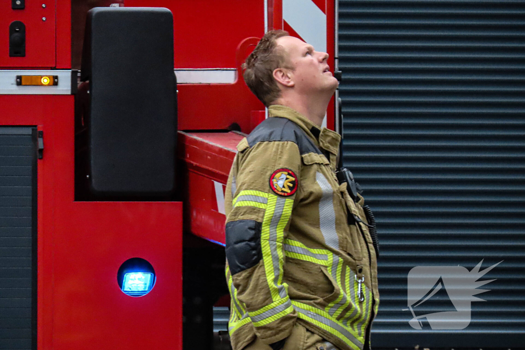 Brandweer assisteert bij kat in de boom