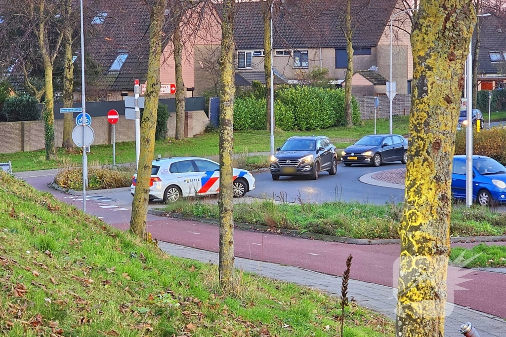 Veel politie op de been voor Turkse bruiloft