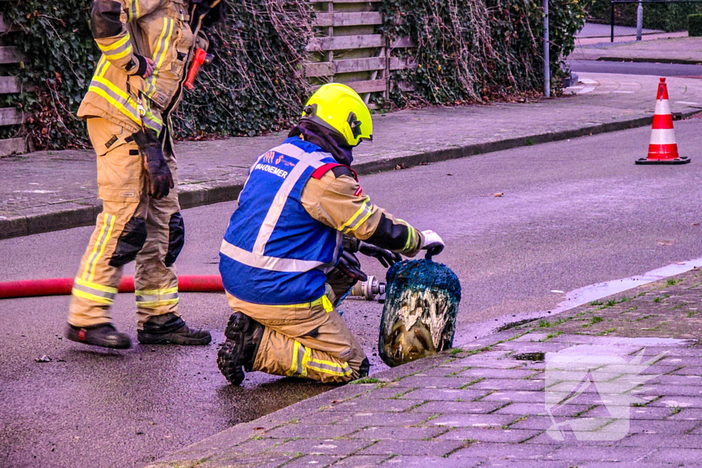 Brandweer blust brand in achtertuin