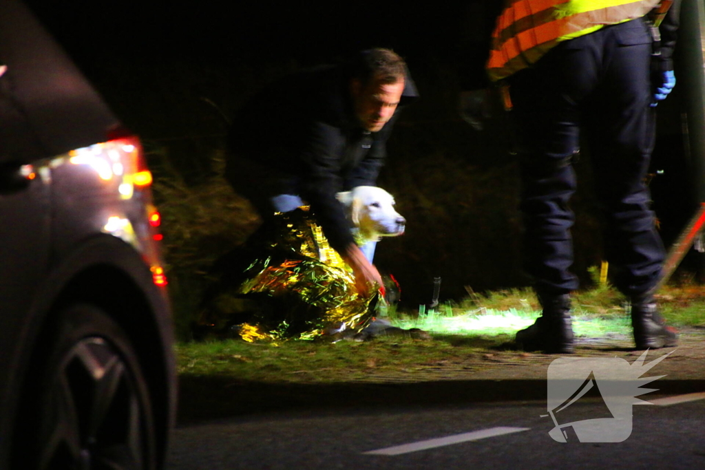 Persoon naar ziekenhuis na eenzijdig ongeval met boom