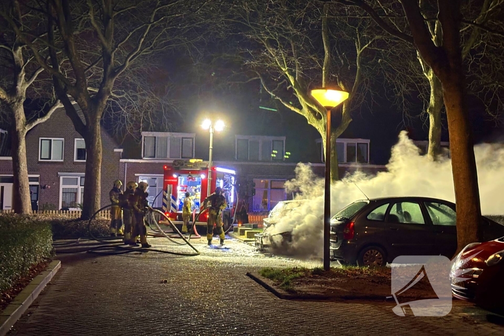 Geparkeerde auto's verwoest door brand