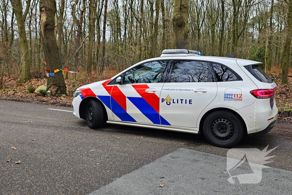 Persoon zwaargewond bij botsing tegen boom