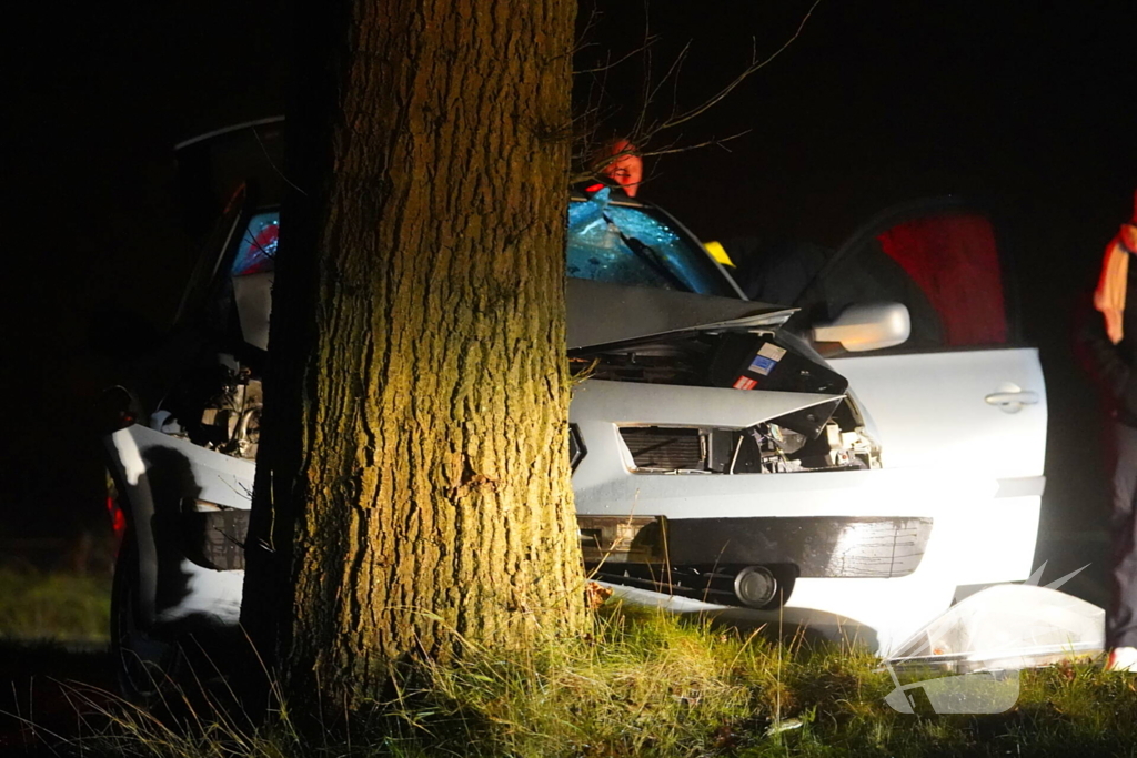 Auto raakt van de weg en botst tegen boom