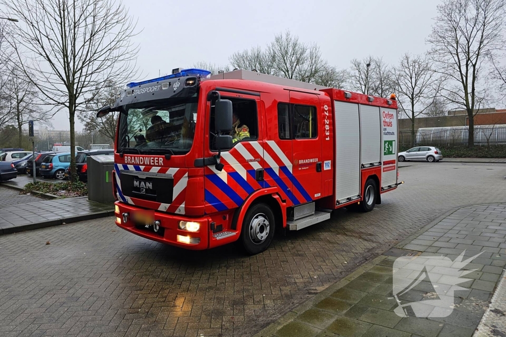 Kat bevrijdt uit benarde positie