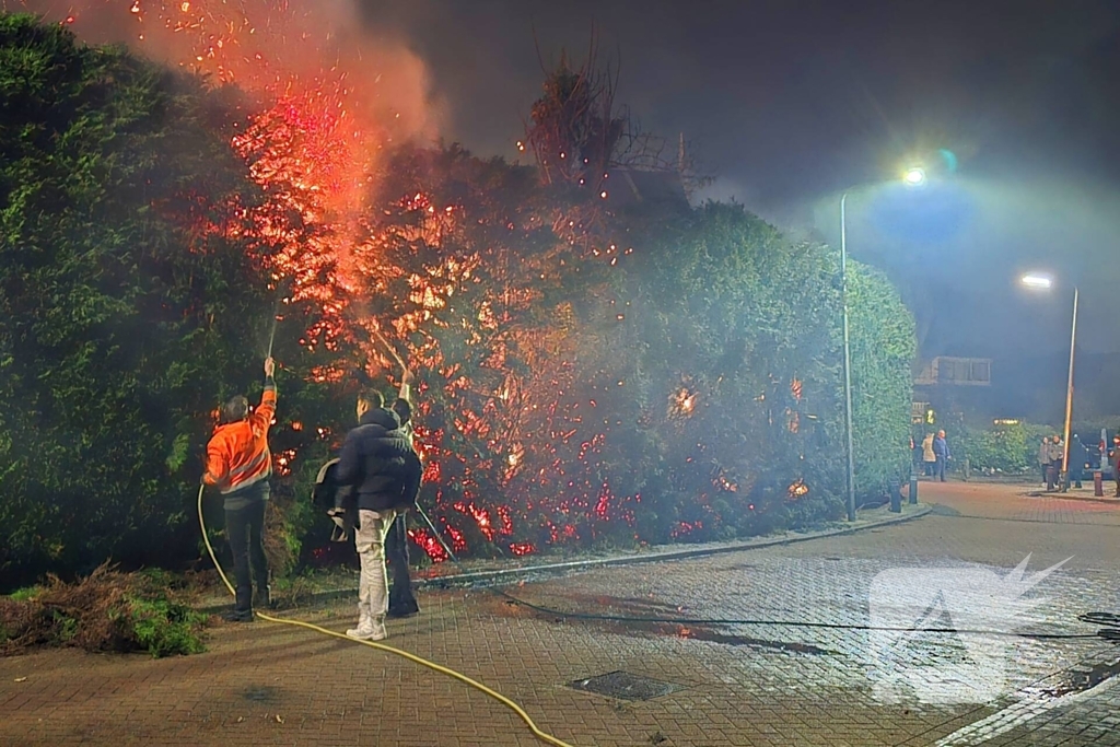 Brandende coniferen haag met tuinslangen geblust