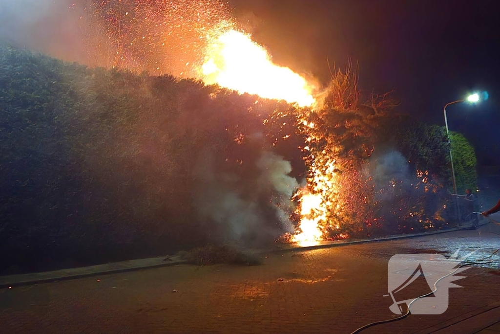 Brandende coniferen haag met tuinslangen geblust