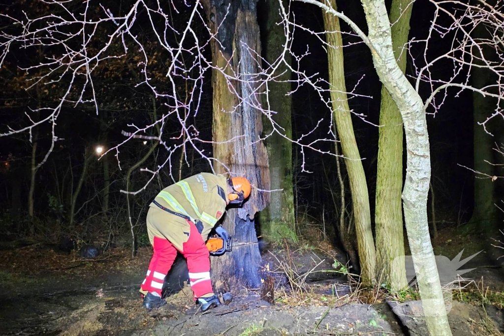 Brandweer zaagt brandende, dode boom om