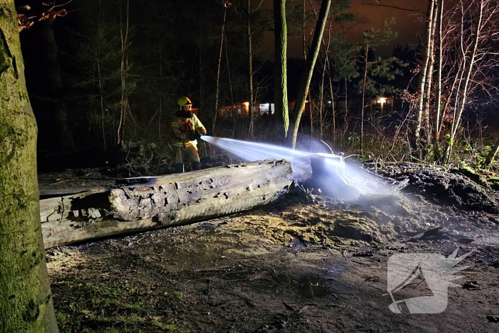 Brandweer zaagt brandende, dode boom om