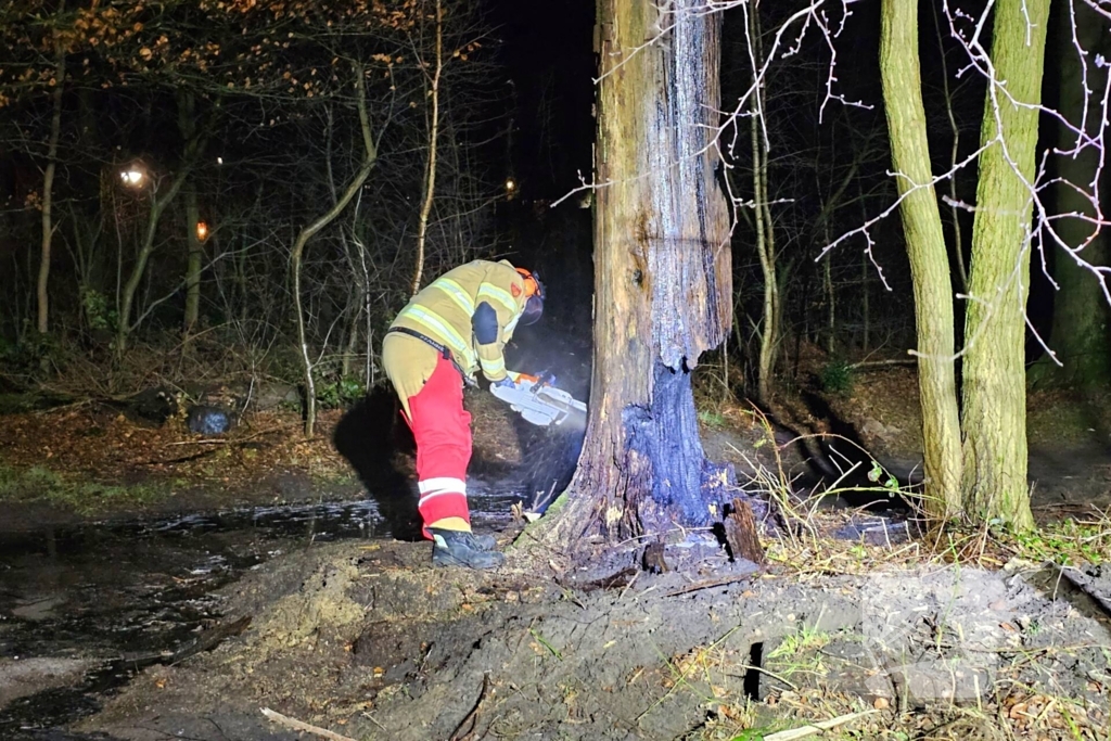 Brandweer zaagt brandende, dode boom om