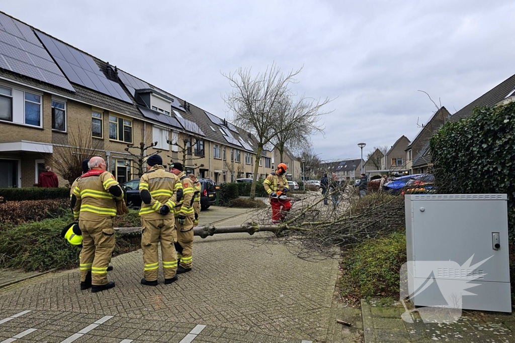 Doorgang woonwijk geblokkeerd door omgewaaide boom