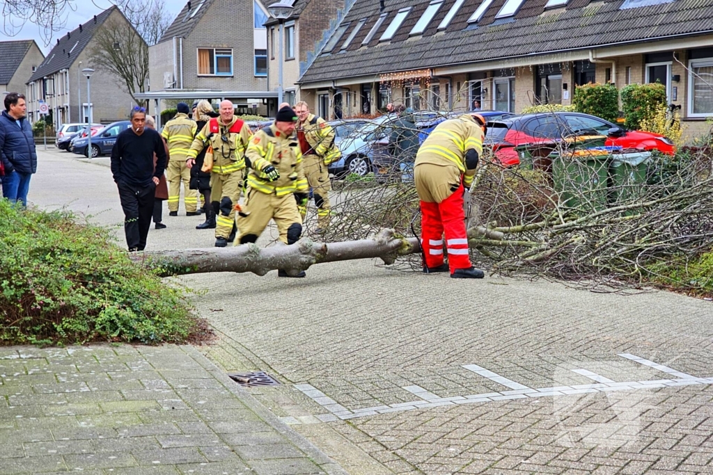 Doorgang woonwijk geblokkeerd door omgewaaide boom