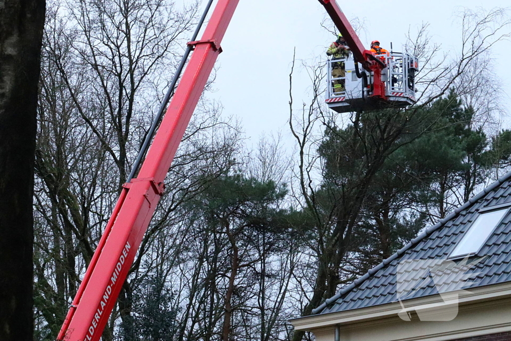 Boom dreigt op woning te vallen