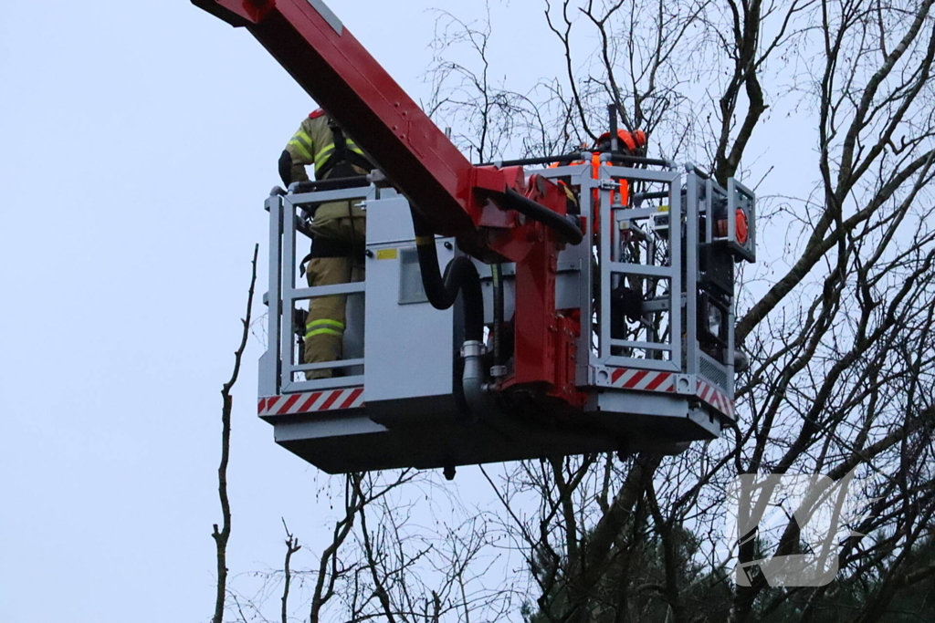 Boom dreigt op woning te vallen