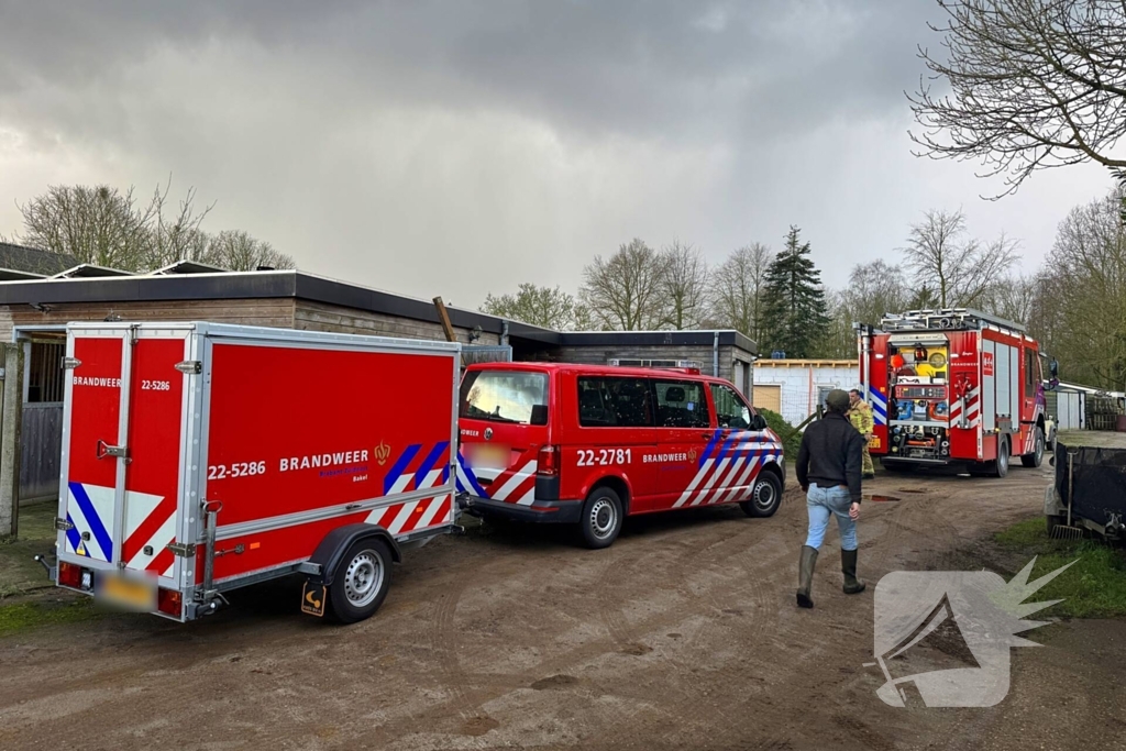 Brandweer schiet te hulp bij gestrande viervoeter