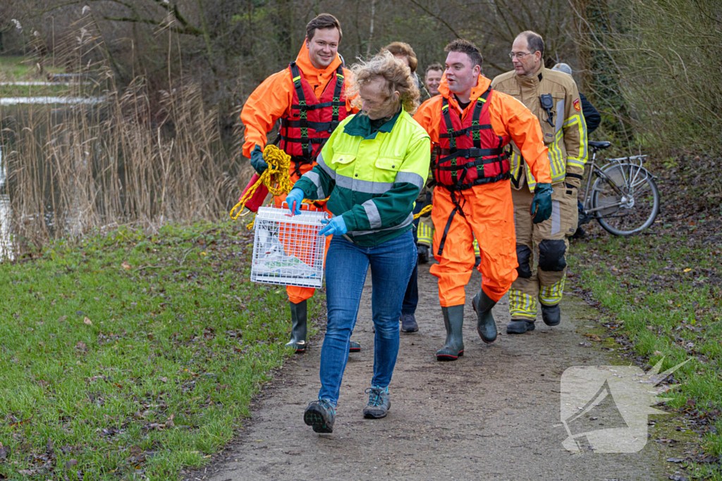 Brandweer bevrijdt vastzittende meeuw