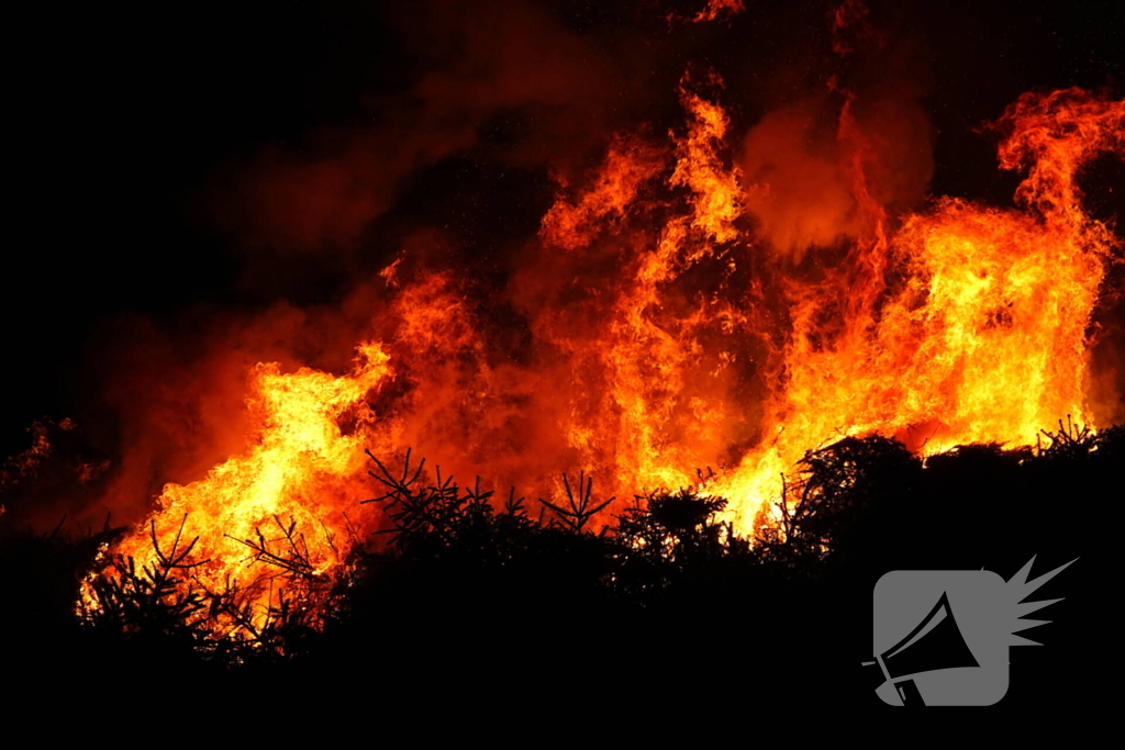 Kerstboom verbranding door brandweer