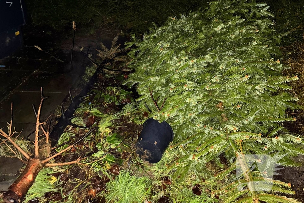 Kerstboom in brand snel geblust