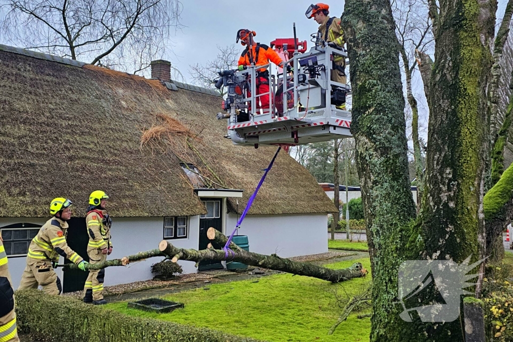 Boom tegen monumentale boerderij