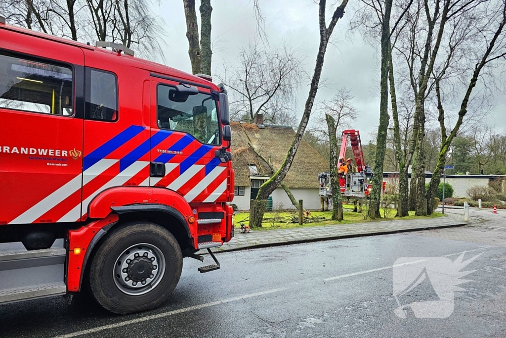 Boom tegen monumentale boerderij