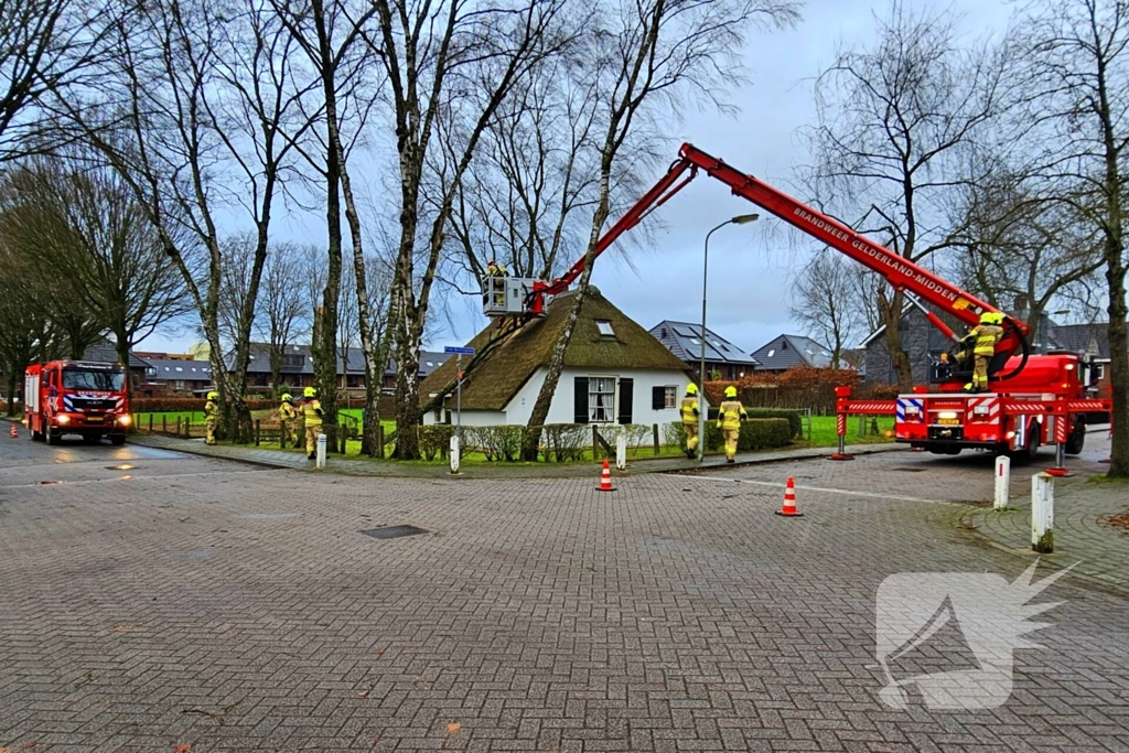 Boom tegen monumentale boerderij