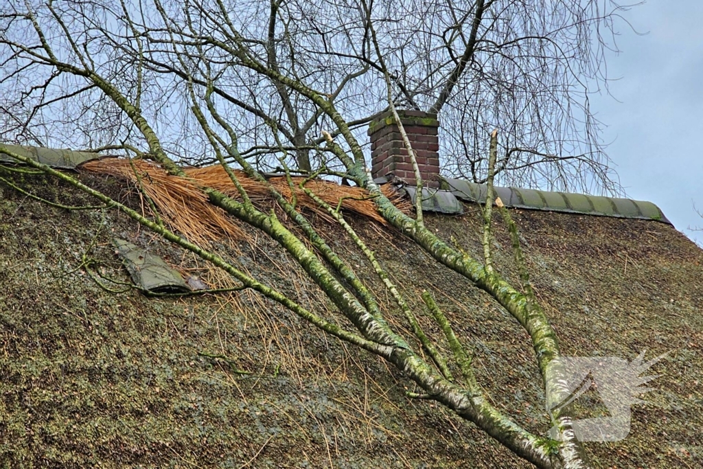 Boom tegen monumentale boerderij