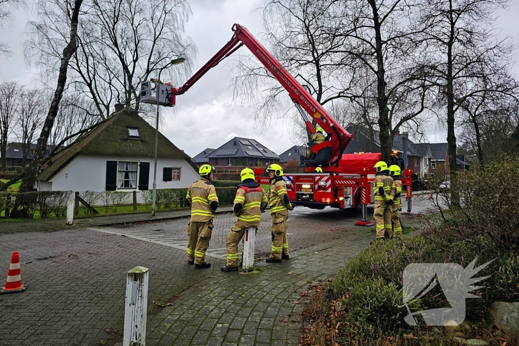 Boom tegen monumentale boerderij