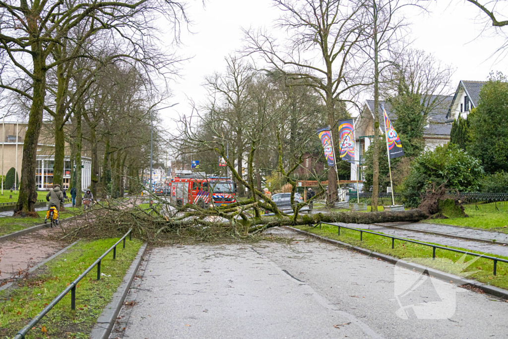 Lantaarnpaal geknakt door omgewaaide boom